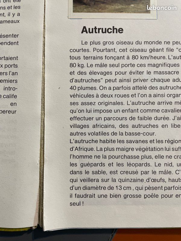 Animaux livre (image 4)