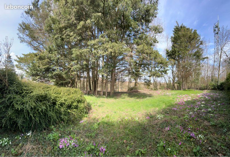 Terrain de loisirs boisé · à Ribemont · 12 500 €
