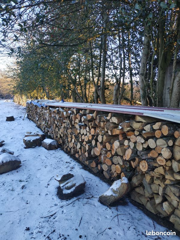 Bois de chauffage (image 1)