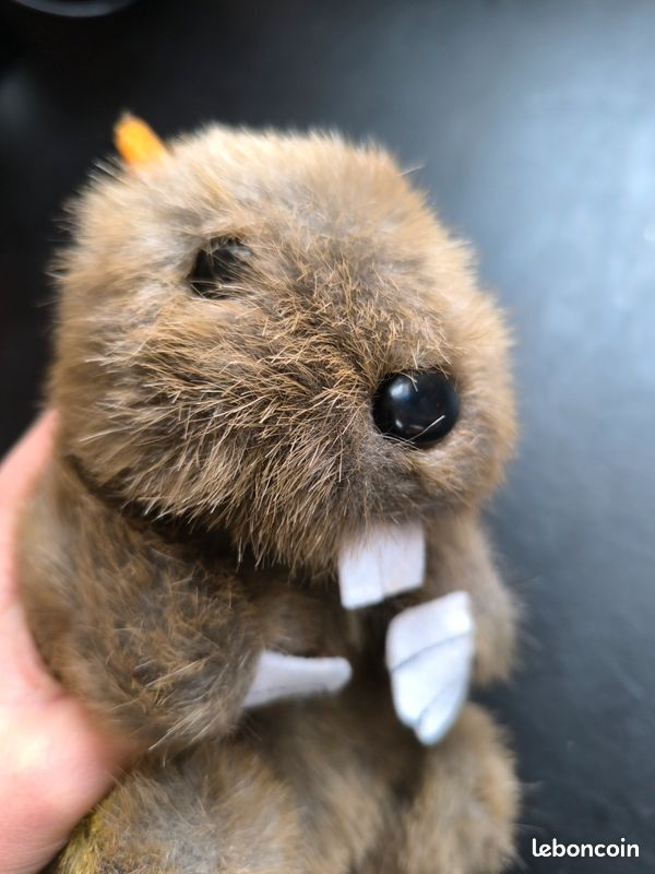 Marmotte peluche (image 5)