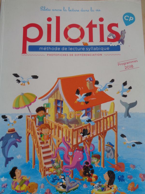 Photofiches Pilotis CP