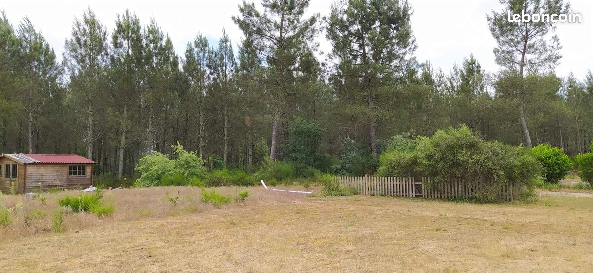 Terrain constructible 1 720 m² dans lotissement calme · à Allons · 29 000 €