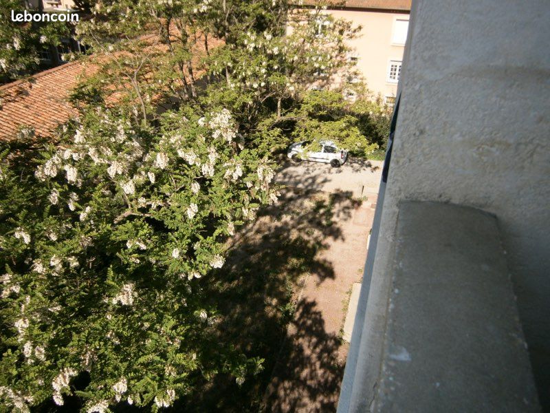 Location festival avignon (image 6)