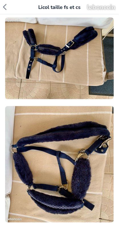 Licol En Nylon KERBL Classic – Pour Poney, Bouclerie Inox, Doux, Têtière Réglable, Fermeture Mousqueton