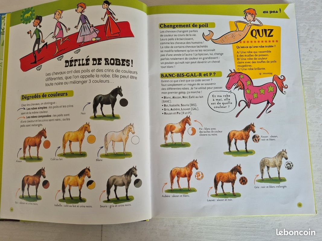 Livre le manuel de la cavalière Nathan Livres