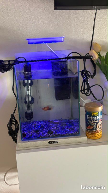 Aquarium (image 2)