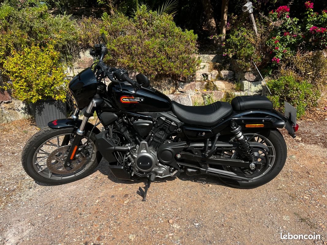 Harley davidson nightster rh 975 special (image 1)