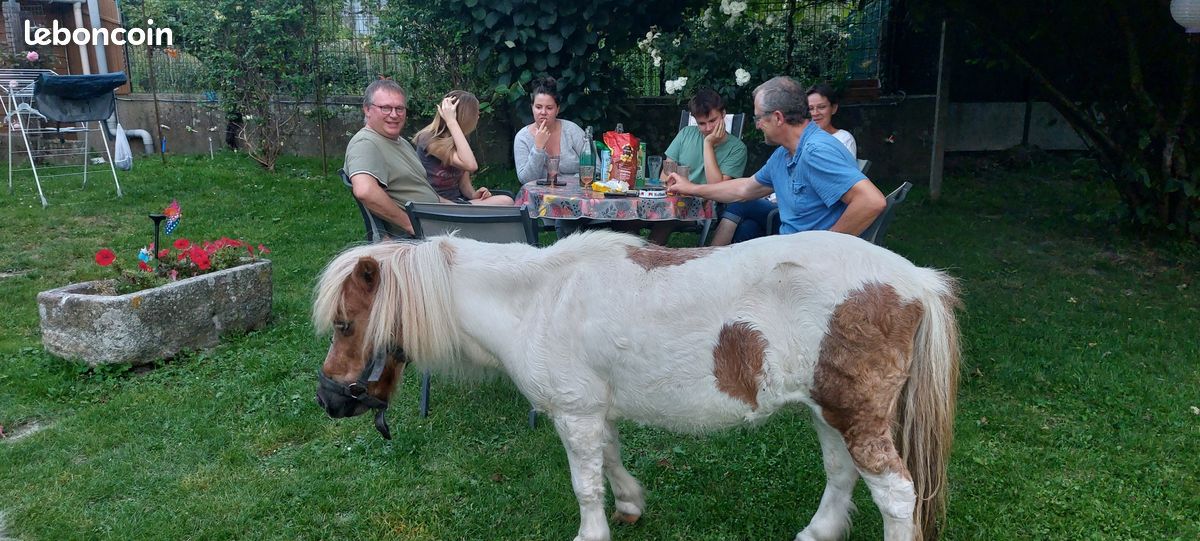 Gîte "Les Montagnards" (image 14)