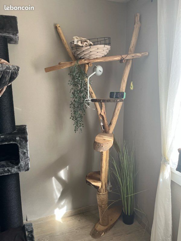 Arbre à chat (image 1)