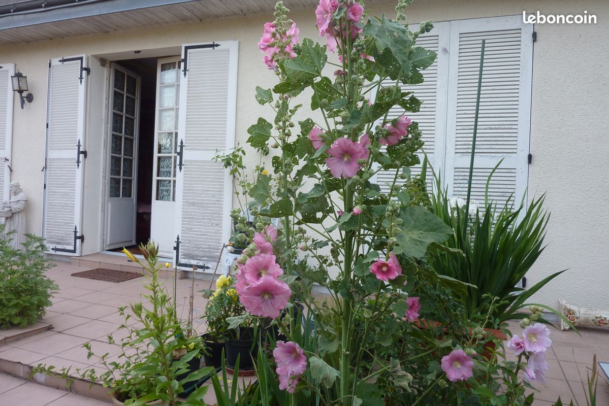 Maison 4 pièces 95 m² · à Sainte-Maure-de-Touraine · 95 m² · 1 800 000 €