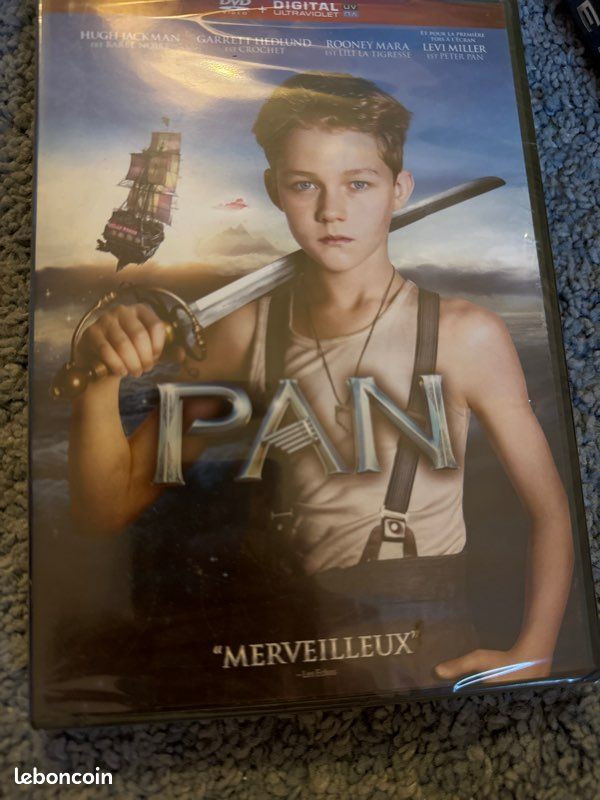DVD pan (image 1)