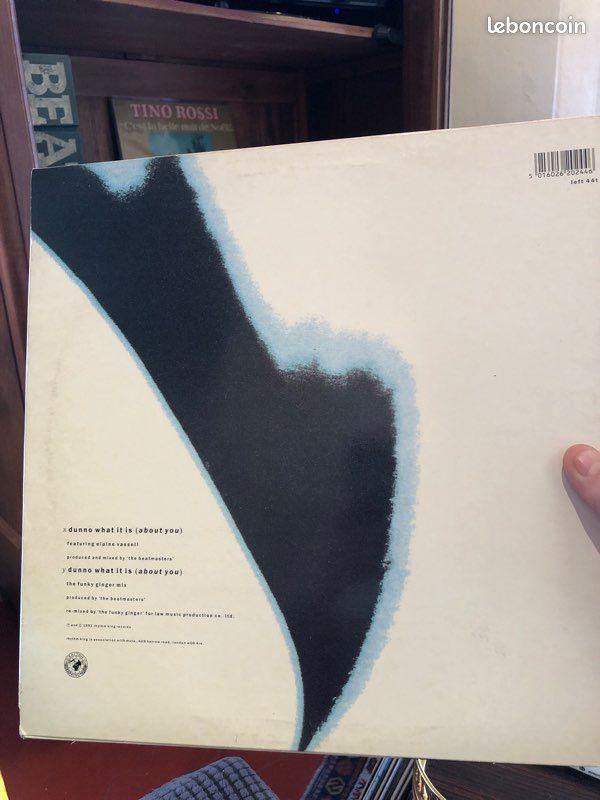 Vinyle beatlasters (image 2)