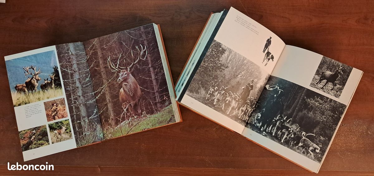COLLECTIF - LA CHASSE ILLUSTRÉE - JOURNAL DES CHASSEURS ET LE VIE A LA