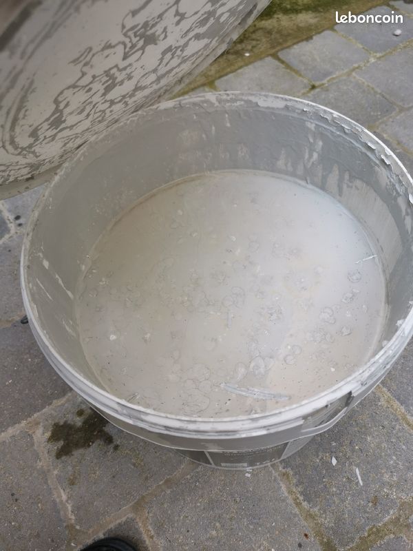 Peinture professionnelle (image 4)