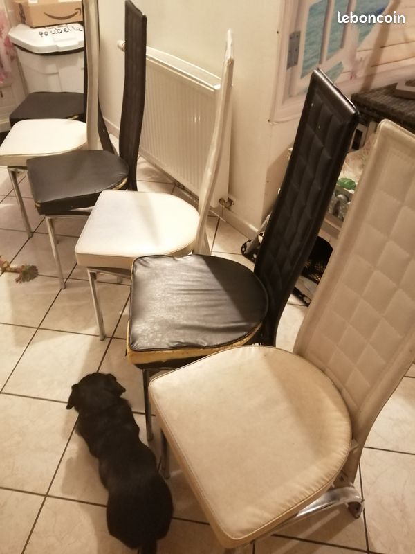Table et 6 chaises salle à manger (image 3)