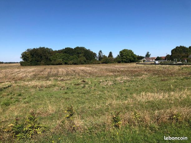 Terrain 1347 m² Montierchaume