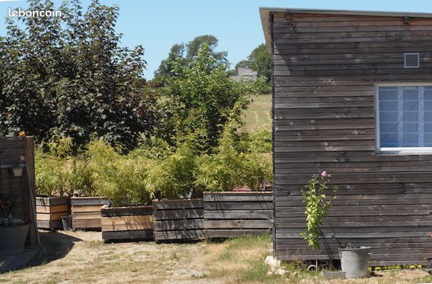 Proche mer, belle vue sur la campagne (image 9)