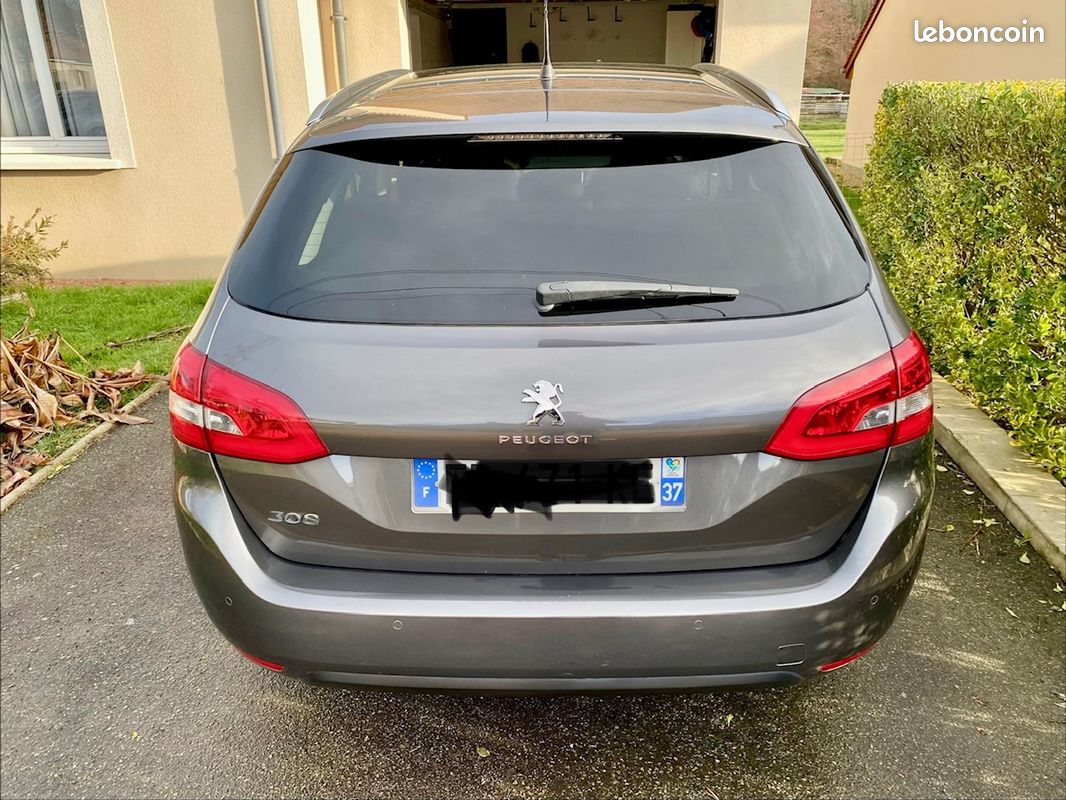308 sw (image 2)