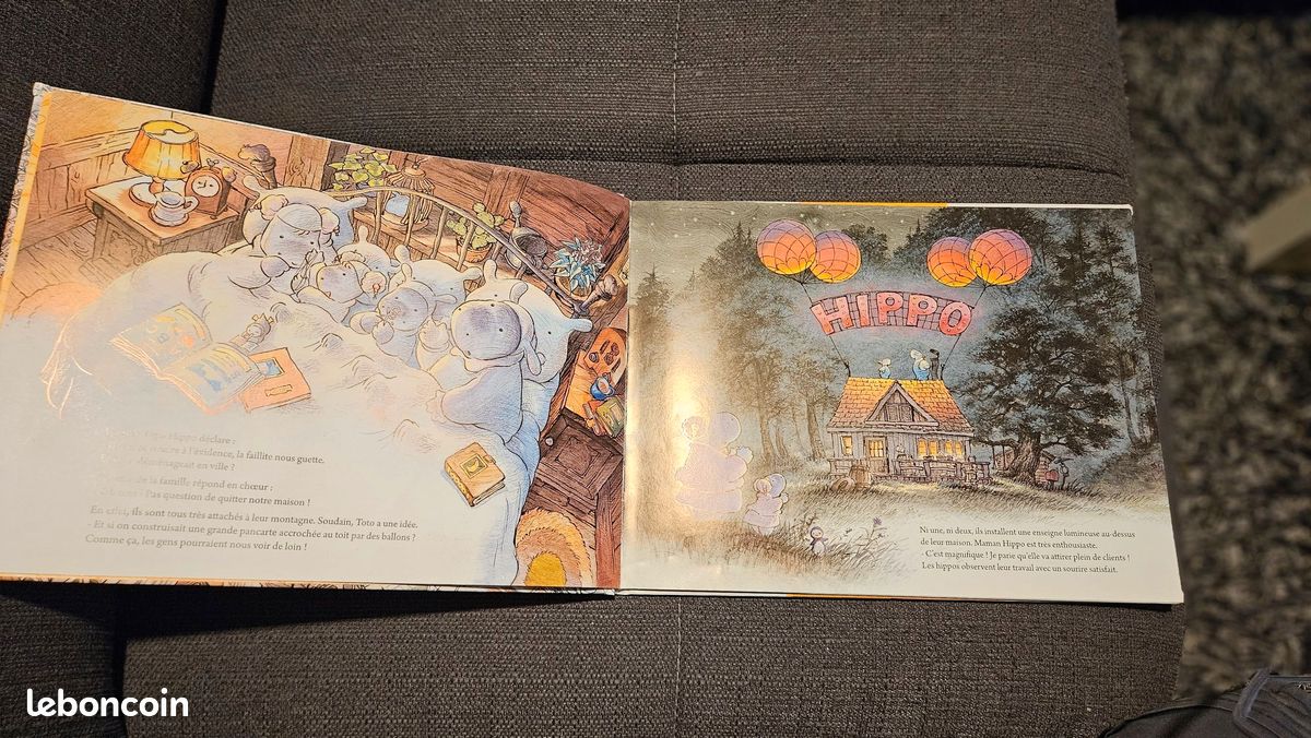 Livre la maison ballon de la famille Hippo (image 2)