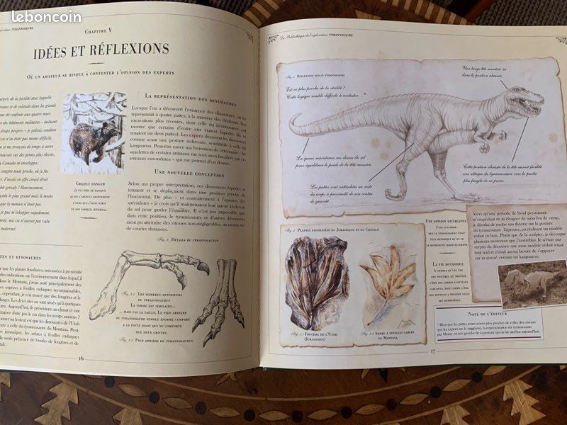 Livre Tyrannosaure (image 5)
