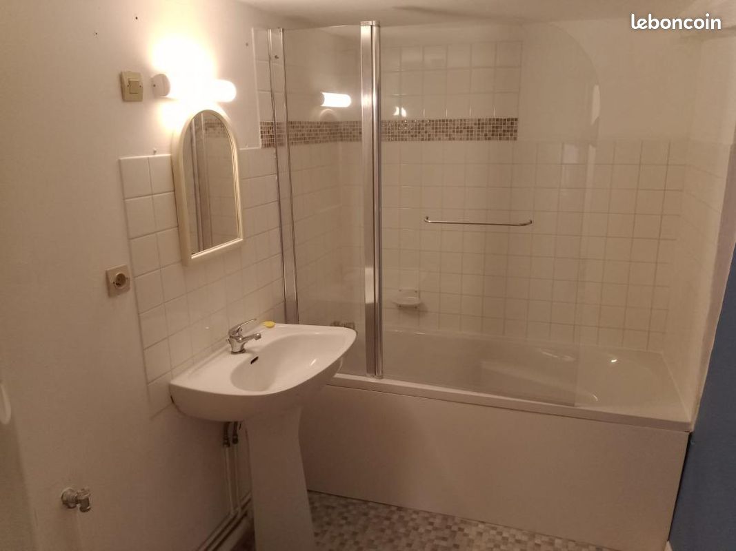 Appartement a louer vierzon - 1 pièce(s) - 44 m2 - Surfyn