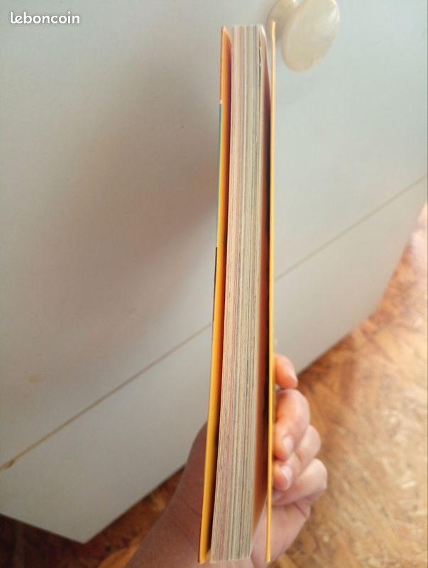 Livre Geronimo Stilton (image 3)