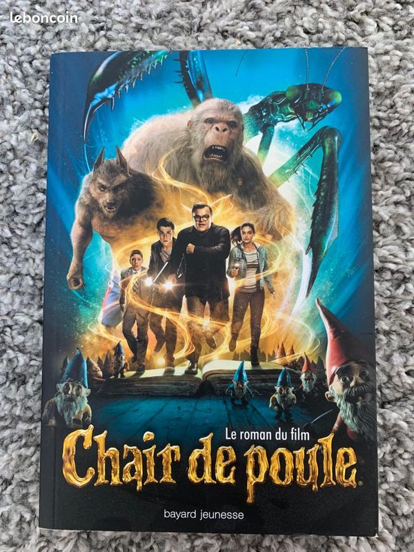 Livre "Chair de poule" (image 1)