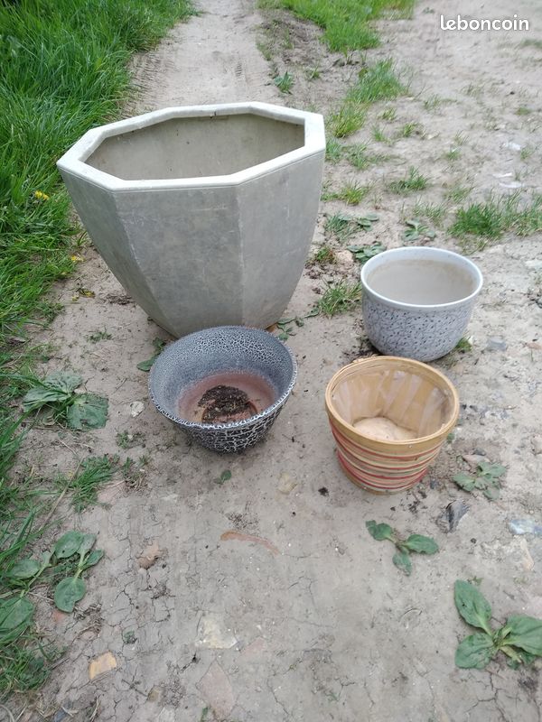 Pot de fleur (image 6)