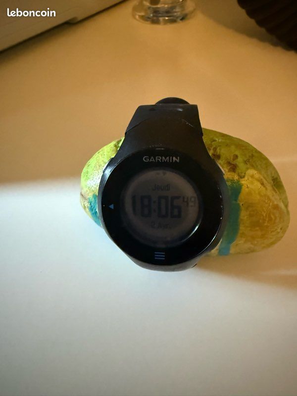 Montre Garmin Forerunner 610 GPS - Sport & Plein air