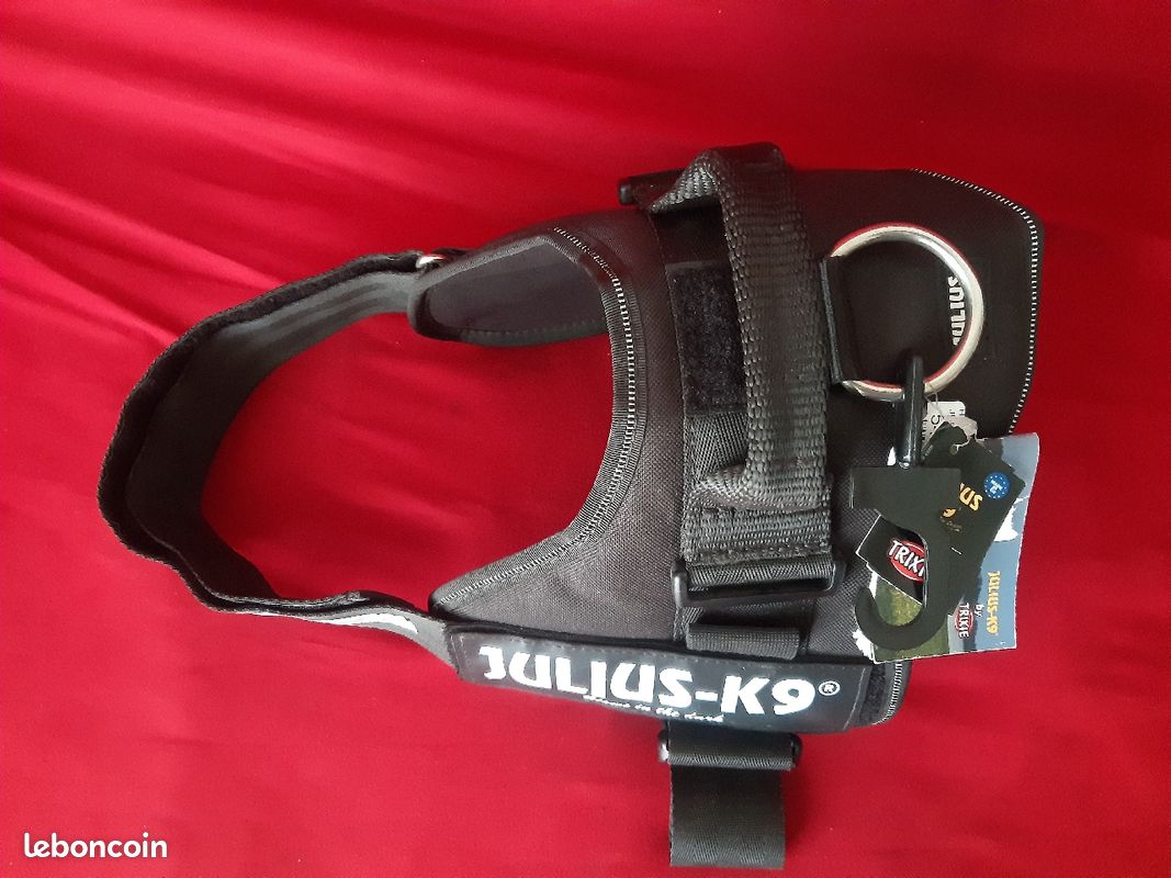 Harnais pour chien Julius K9 - taille 2 (image 3)