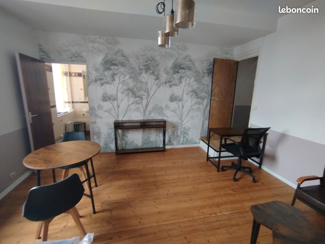 Chambre studio meublée de 23 m2 avec salle de douche + bureau partagé (image 7)