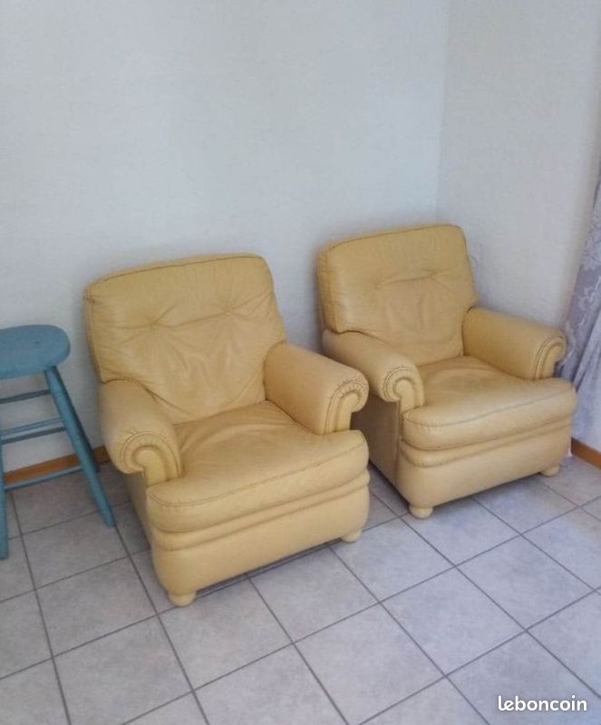 Fauteuils canapé cuir (image 1)
