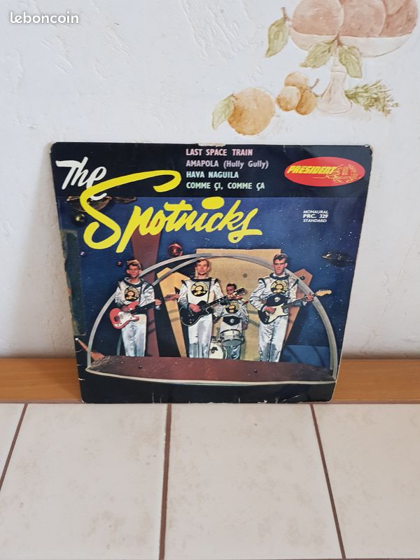 The Spotnicks (image 1)