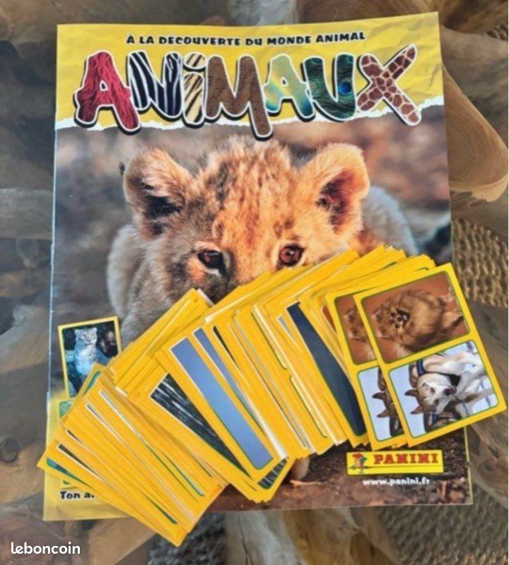 Il mondo degli Animali - Un'esplosione di colori! Starter Pack