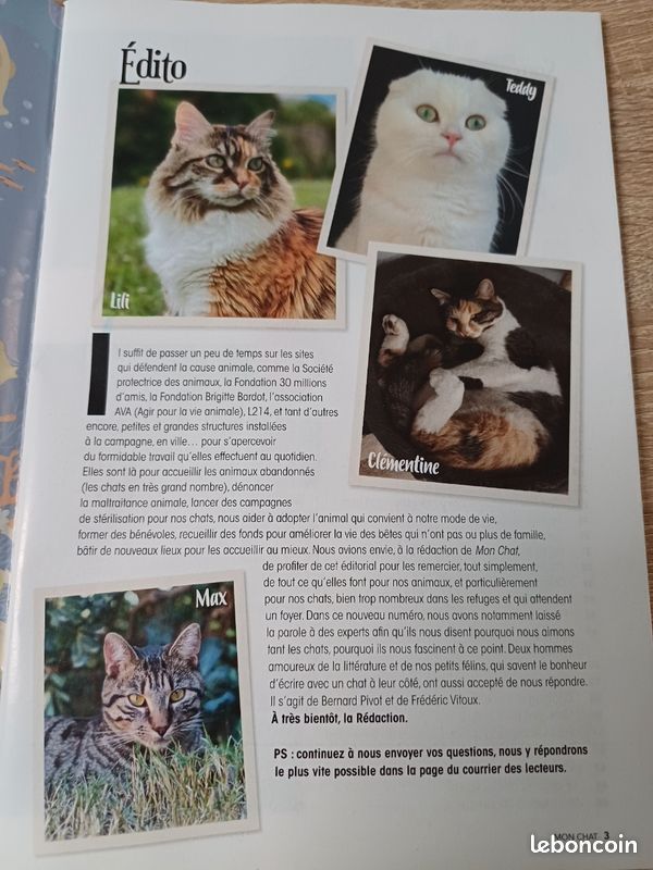 Magazine Mon Chat (image 4)