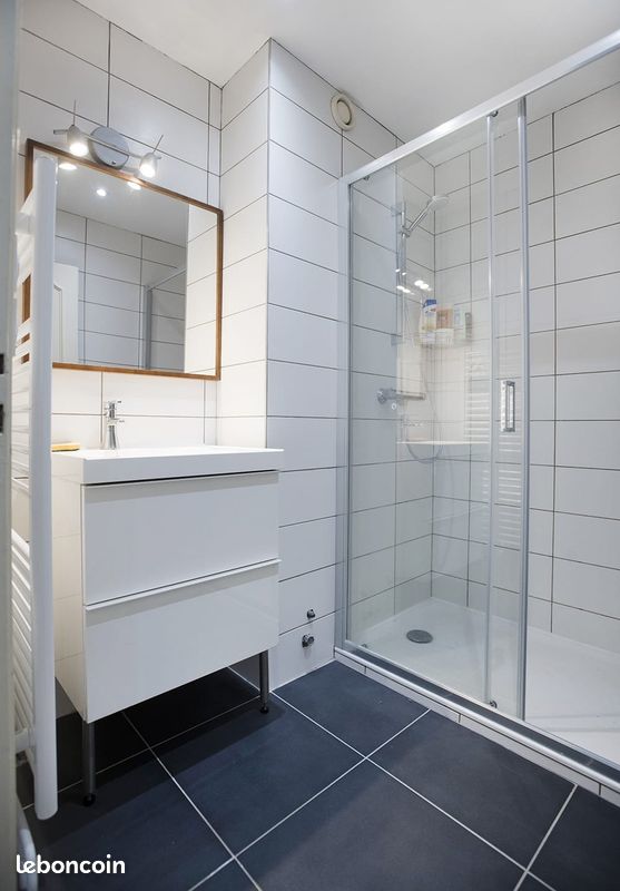 Appartement T2 55m2 + Balcon 15m2 / Vue dégagée sur Vercors (image 6)