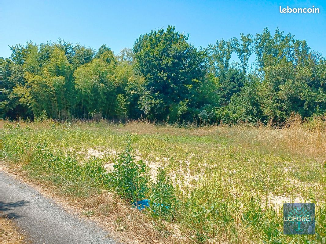 Terrain 800 m² · à Notre-Dame-de-Riez · 800 m² · 110 500 €