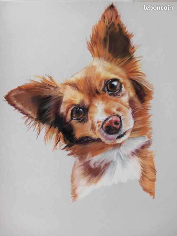 Dessin Tableau Peinture Pastel chien (image 1)