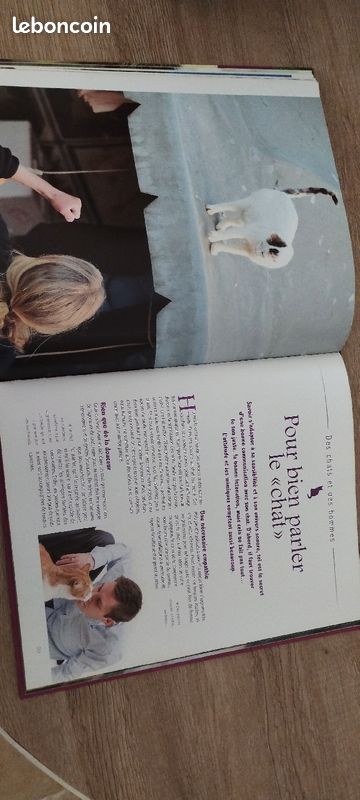 Secrets de chat (image 2)