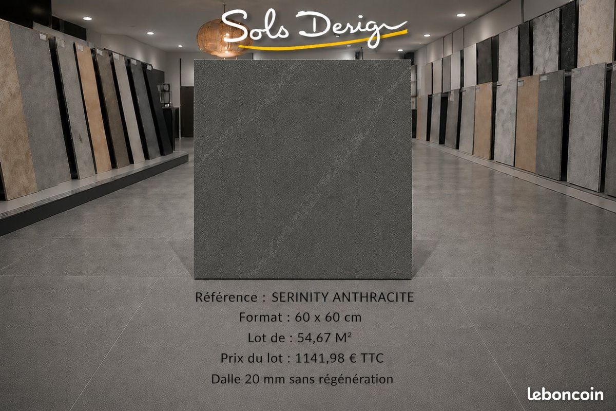 DALLE 60x60 🌟 OPÉRATION DÉSTOCKAGE – FIN DE LOTS À PETITS PRIX 💰 (image 7)
