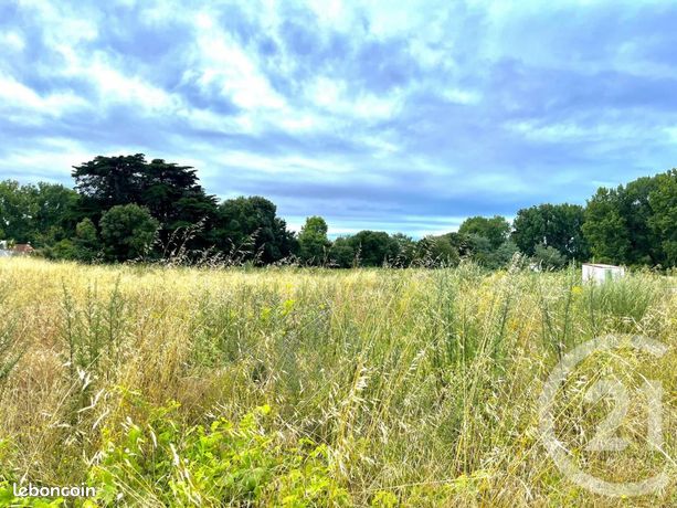 Terrain 1 318 m² Saint Hilaire De Riez