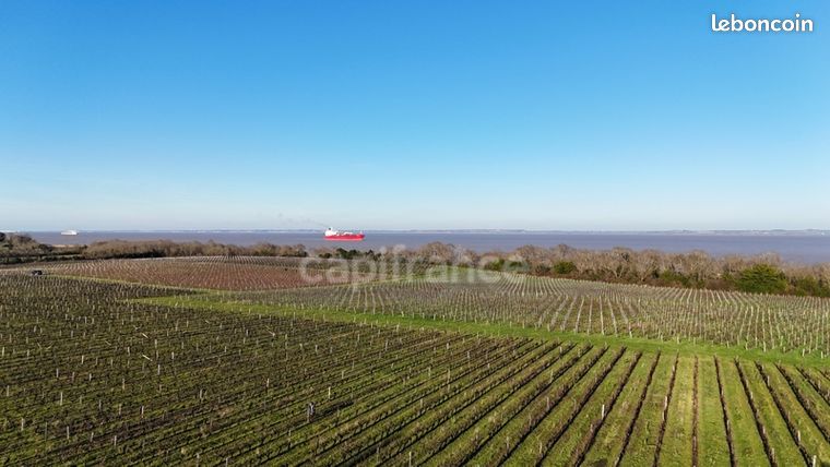 Propriété 12 pièces 1 357 m²