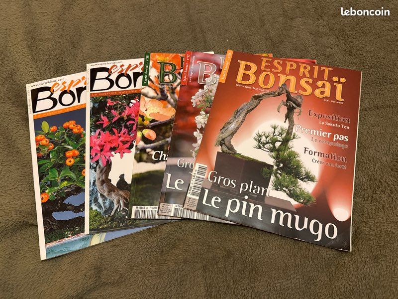 Lot de 5 magazines esprit bonsaïs n 26 à 30 (image 1)