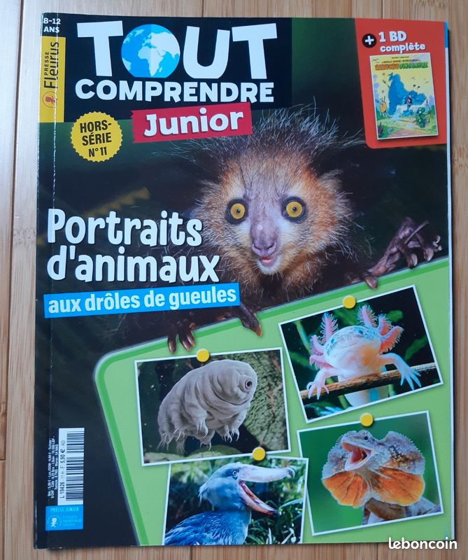 Magazines《tout comprendre junior》 (image 2)