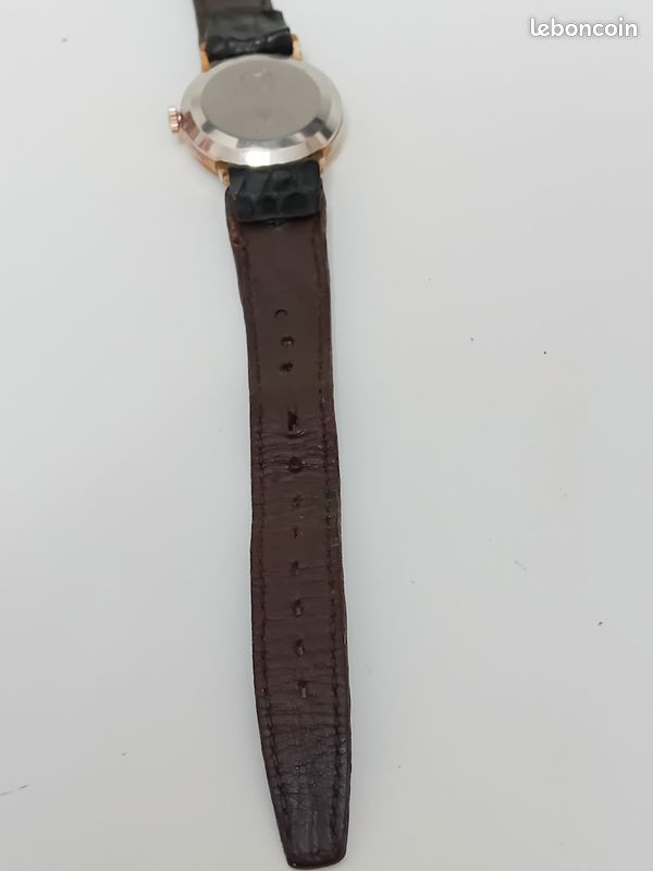 Stégosaure STARLUX Préhistoire FS40027