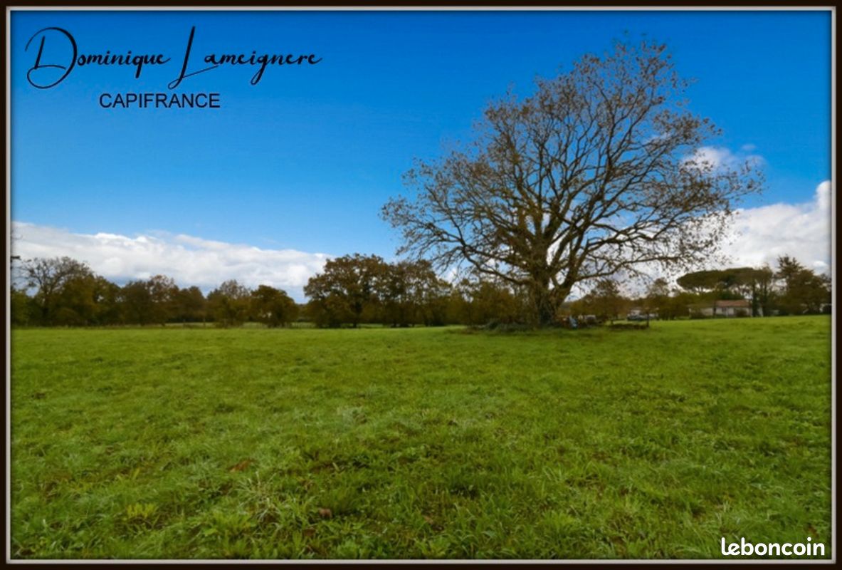 Terrain 1156 m² · à Peyrehorade · 44 000 €