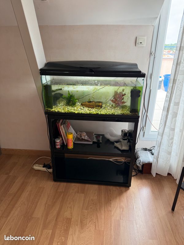 Don aquarium complet 80L avec meuble et poisson (10 ans) – À saisir à Basse-Indre (44) (image 1)