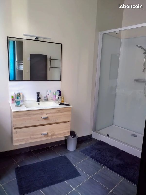 Appart vacances au cœur de Millau - 4 personnes - wifi, parking gratuit (image 7)