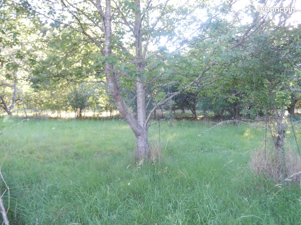 Terrain 1173 m² · à Saint-Symphorien-de-Marmagne · 1 173 m² · 18 900 €