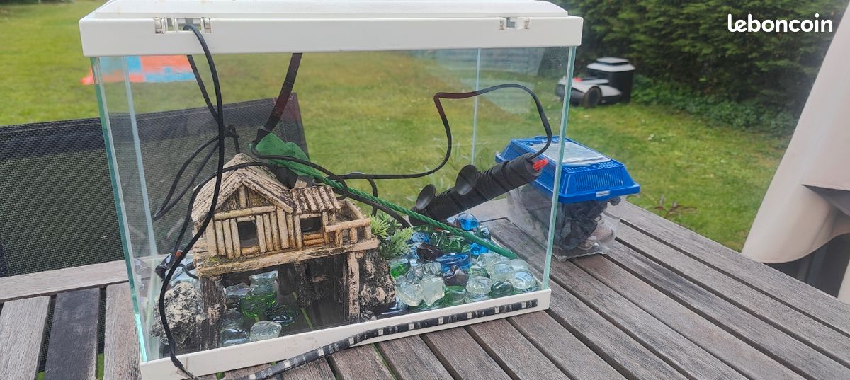 Aquarium 40L avec déco avec pompe (image 1)